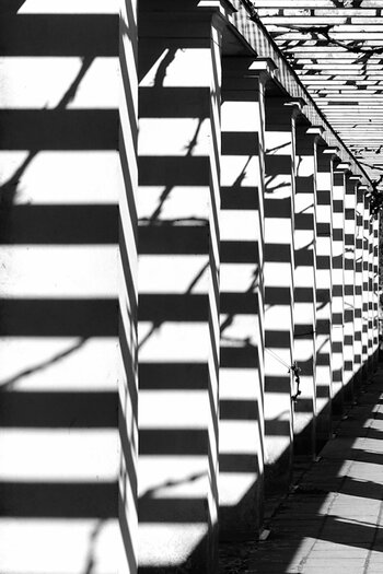 20220409_144533bw_nf.JPG