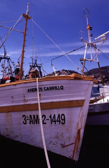 comp_Fischerboot_539.jpg