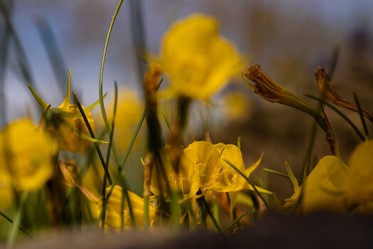 750_6103.JPG