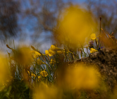 750_6104.JPG