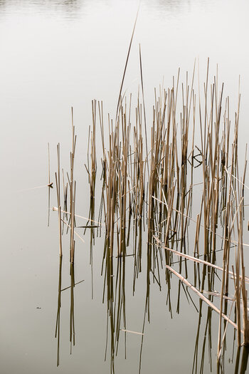 750_6201.JPG