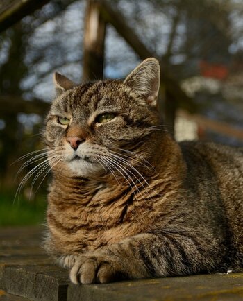 DSC_0820_00001 (4)n.jpg