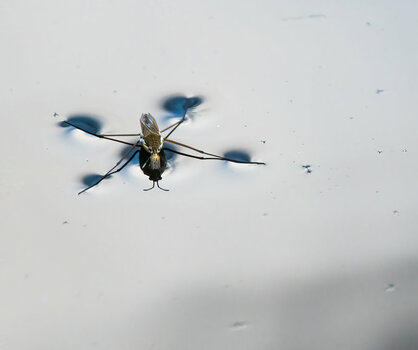 B635A76B-A3F8-4D78-BA08-8C988E20C724.jpeg