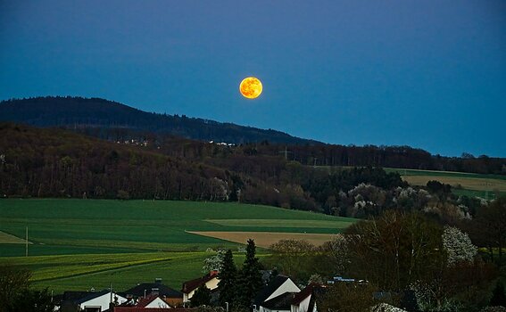 VG_850_5914_on1-landscape-1.jpg