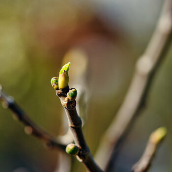 DSC_5803 (1).jpg