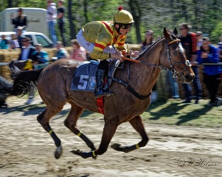 DSC_2537_DxO - Kopie.jpg