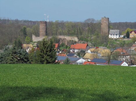 P4182456 (2)n.JPG