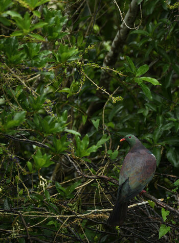 DSC_3289_1.jpg
