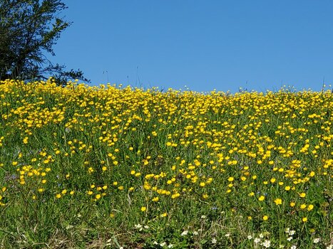 20220420_165941.jpg