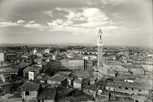 comp_Siena 1986 SW.jpg