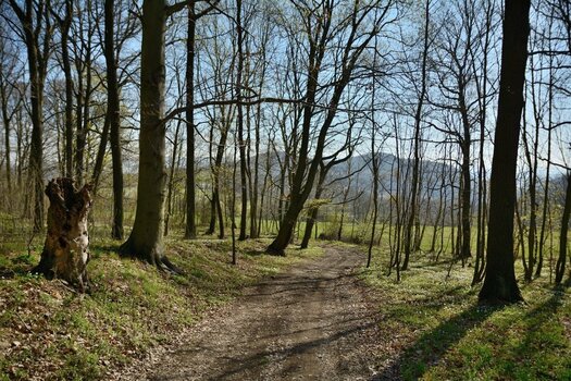 DSC_0831_00001n.jpg