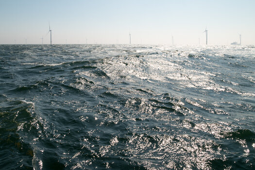 20220423_121454_nf.jpg