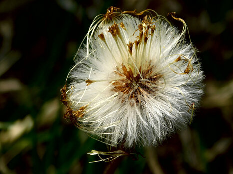 DSCN0943_00001.jpg