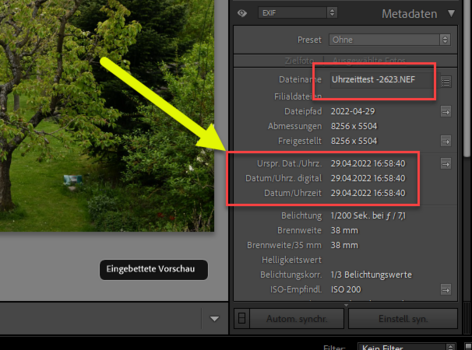 Exif der NEF-Datei (Foto).png