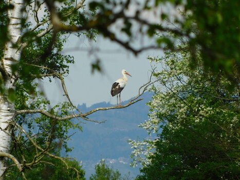 DSCN1667.JPG