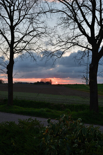 20220424_203926_nf.JPG