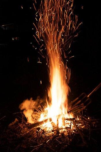 DSC_2604.jpg