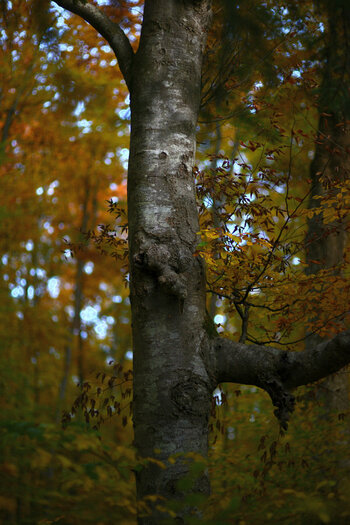 DSC_0744_1.jpg