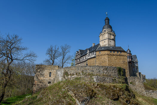 750_6350.JPG