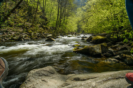 750_6853.JPG