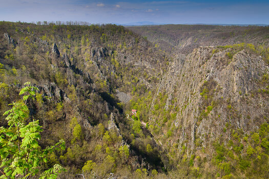 750_6770.JPG 750_6770.JPG