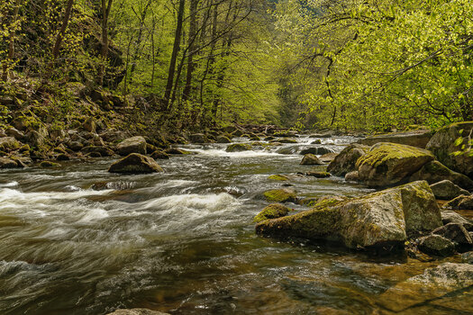 750_6852_DxO.JPG 750_6852_DxO.JPG