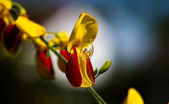 VG_500_9612_on1-landscape-1.jpg