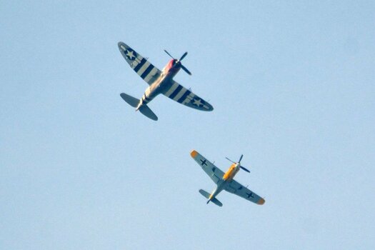 Hahnweide Mustang Me109 2019 DSC_5672.jpg Hahnweide Mustang Me109 2019 DSC_5672.jpg