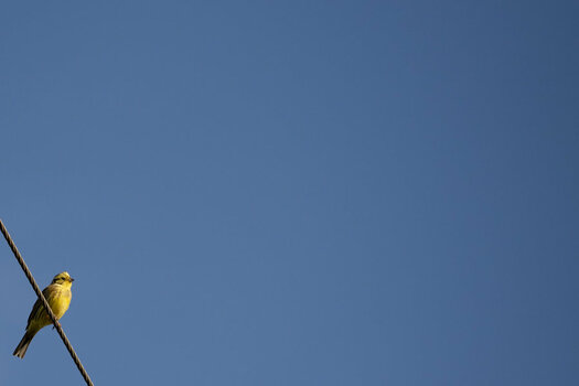 P5040009.jpg