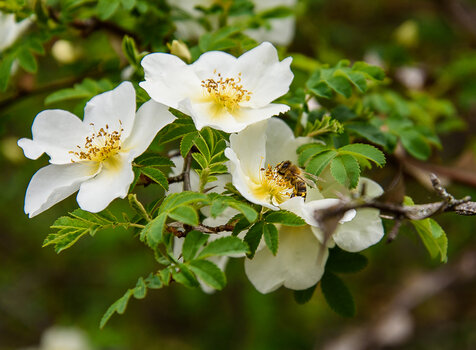 750_6975.JPG