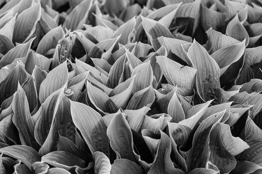 A4AB0E4C-4935-4A7D-BDAC-15372C992D29.jpeg