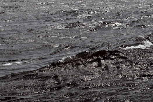 20220423_120959bw1_nf.jpg