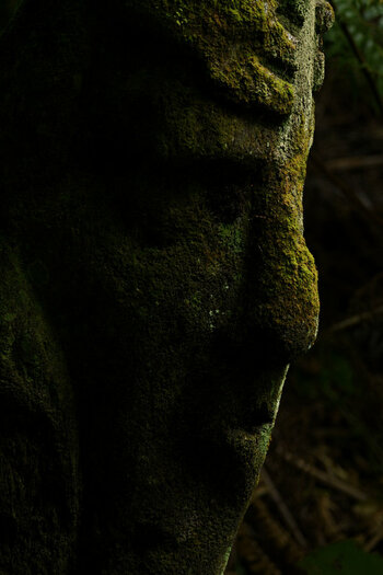 DSC_3266_00001.jpg