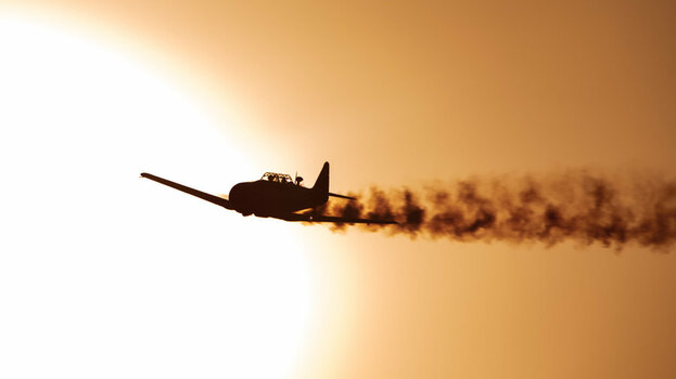 Fliecher (9 von 26).jpg Fliecher (9 von 26).jpg