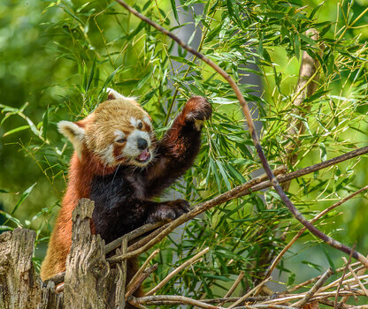 750_7193-Bearbeitet.JPG