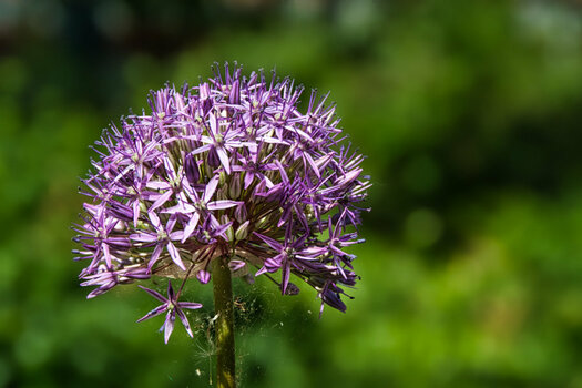 DSC_6098.jpg