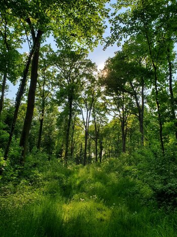 20220509_175819.jpg