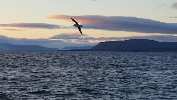 20160922_184104.jpg