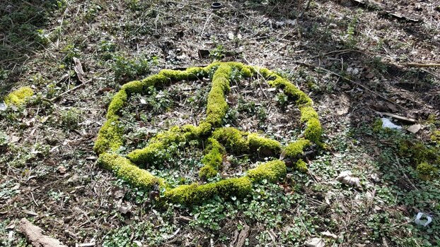 20160327_132046.jpg