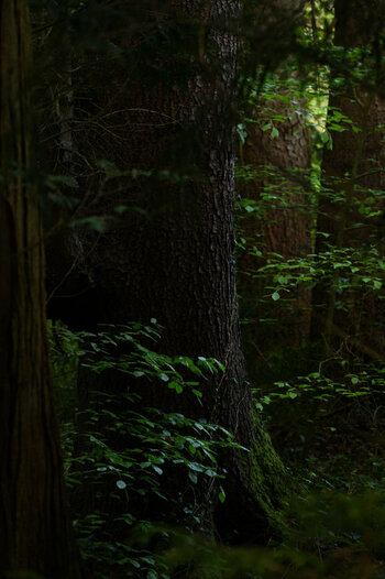 HSC_4308_0001.jpg