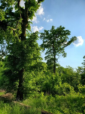20220509_175952.jpg