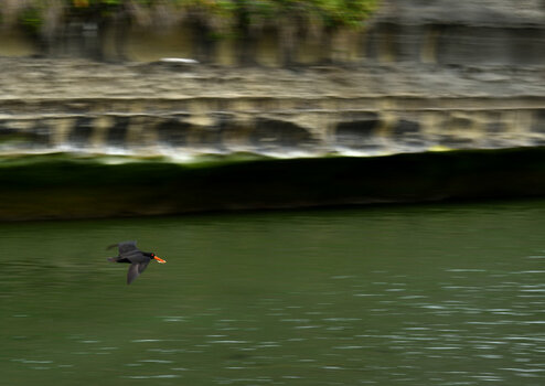 DSC_3743_0001.jpg