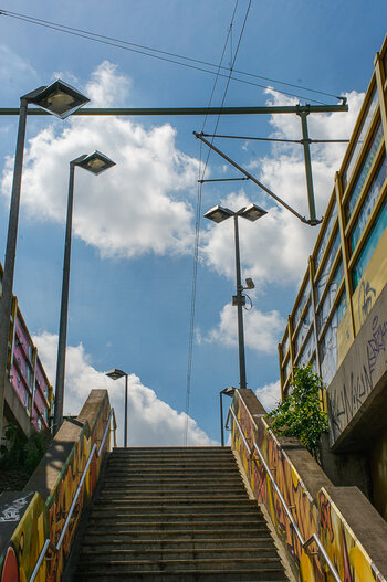 DSC_2434.JPG