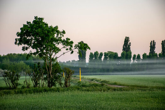 DSC_1059.jpg DSC_1059.jpg