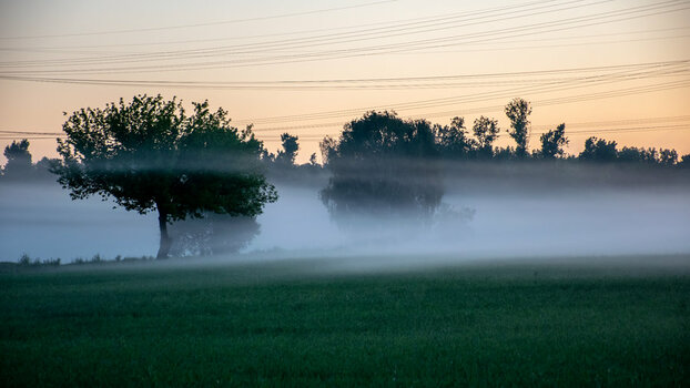 DSC_1061.jpg DSC_1061.jpg