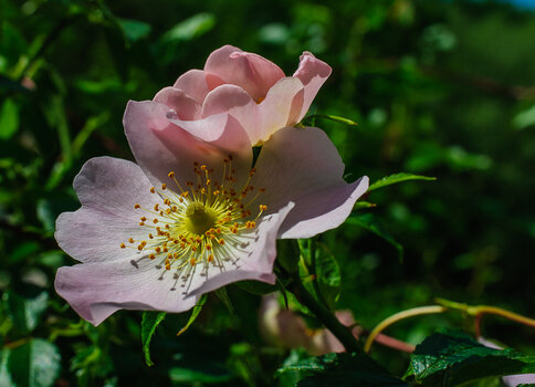 DSC_2416.JPG