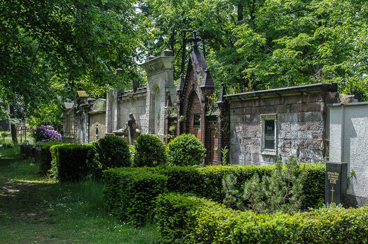 DSC_2456.JPG