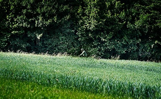 VG_500_1225_on1-landscape-1.jpg