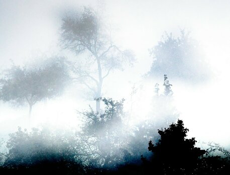 VG_500_0465_on1-landscape-1.jpg