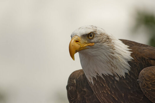 _DSC0040NF.jpg